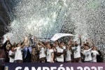 بلاتينسي يتوج بلقب الدوري الأرجنتيني لأول مرة في تاريخه