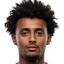 Akram Adel