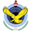 القوة الجوية
